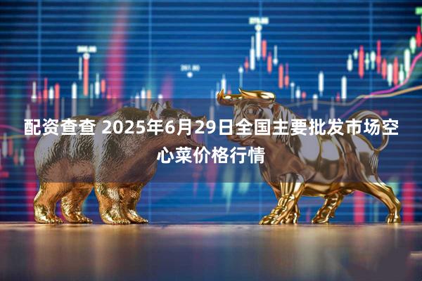 配资查查 2025年6月29日全国主要批发市场空心菜价格行情